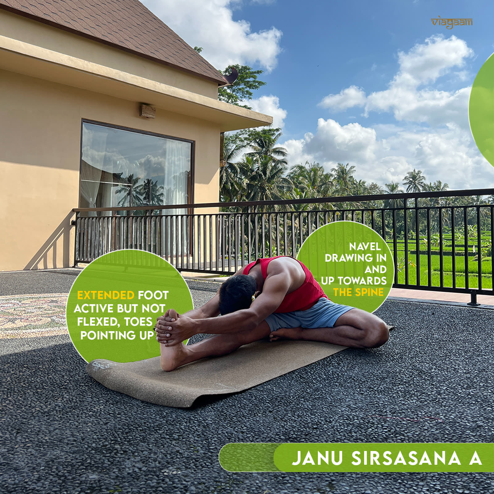 Janu sirsasana with alignment cues annotated